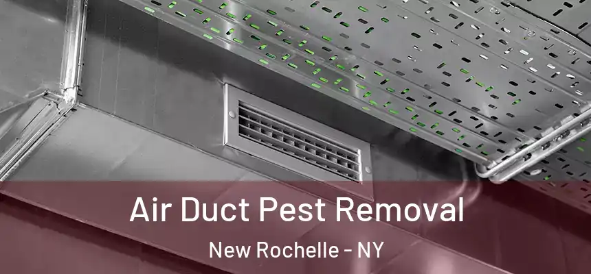  Air Duct Pest Removal New Rochelle - NY