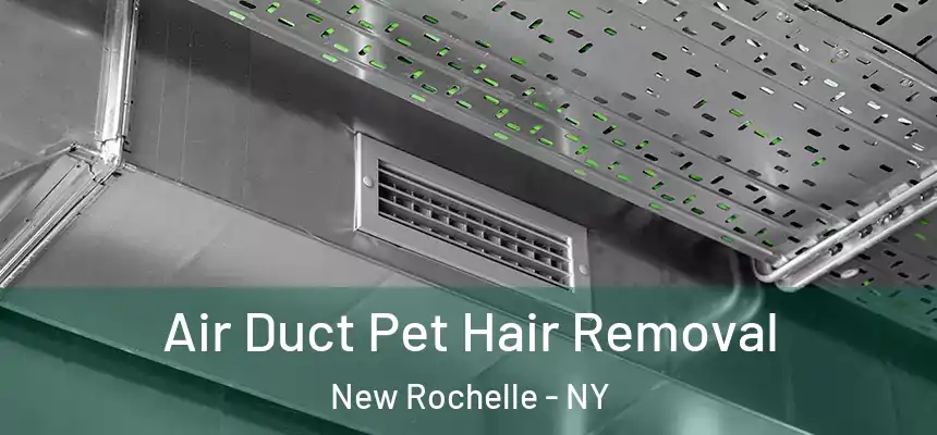  Air Duct Pet Hair Removal New Rochelle - NY