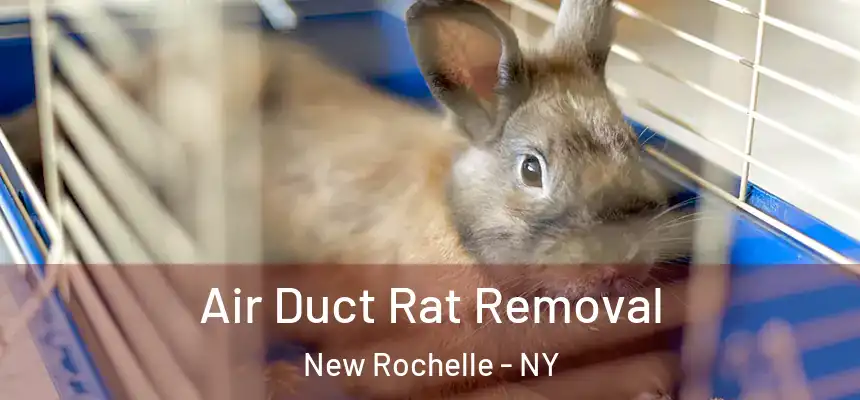  Air Duct Rat Removal New Rochelle - NY