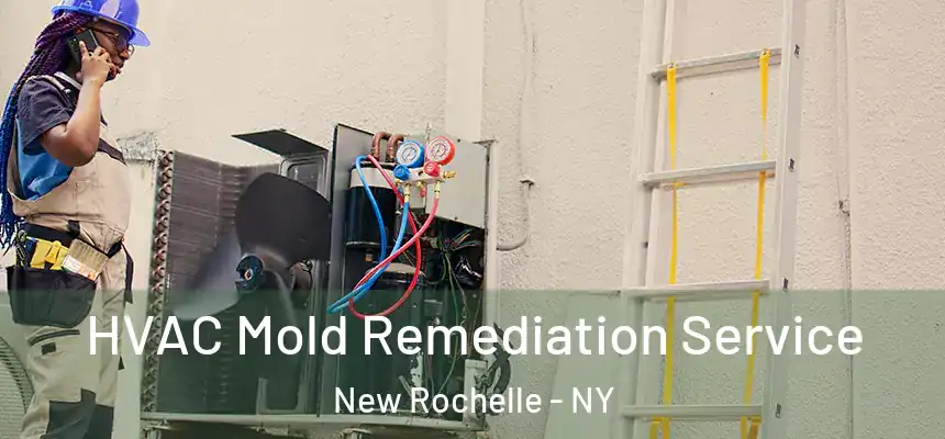  HVAC Mold Remediation Service New Rochelle - NY