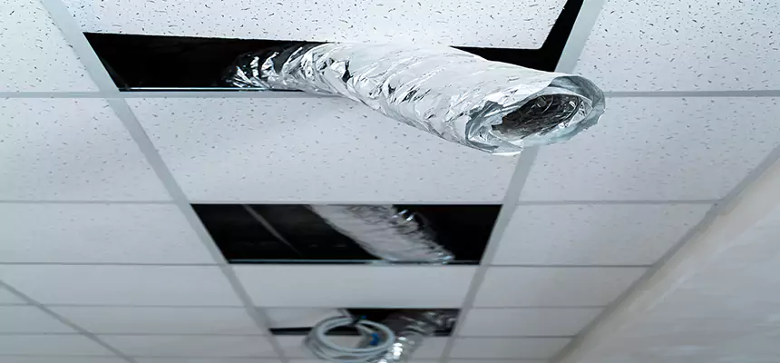 Our Air Duct Pet Hair Removal Services in New Rochelle, NY