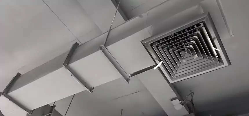 Our Pest Removal From Ducts Services in New Rochelle, NY