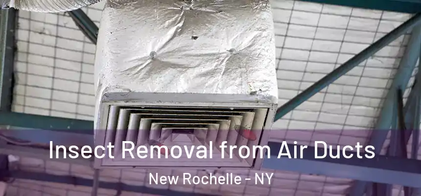 Insect Removal from Air Ducts New Rochelle - NY