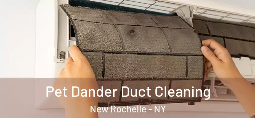 Pet Dander Duct Cleaning New Rochelle - NY