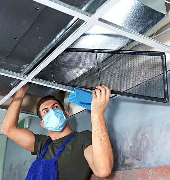 About Air Duct Bacteria Removal in New Rochelle
