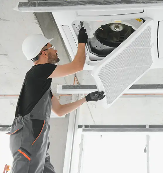 About Air Duct Rodent Removal in New Rochelle, NY