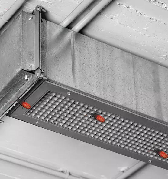 Affordable Insect Removal from Air Ducts in New Rochelle, NY