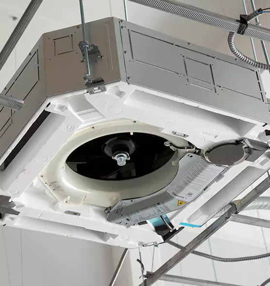 Professional Roof Vent Lint Removal New Rochelle, NY