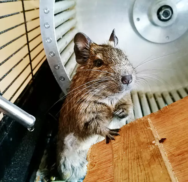 Why Homeowners & Businesses Trust Us New Rochelle, NY?