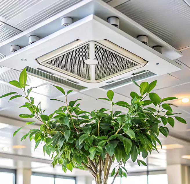 Why Homeowners & Businesses Trust Us in New Rochelle, NY