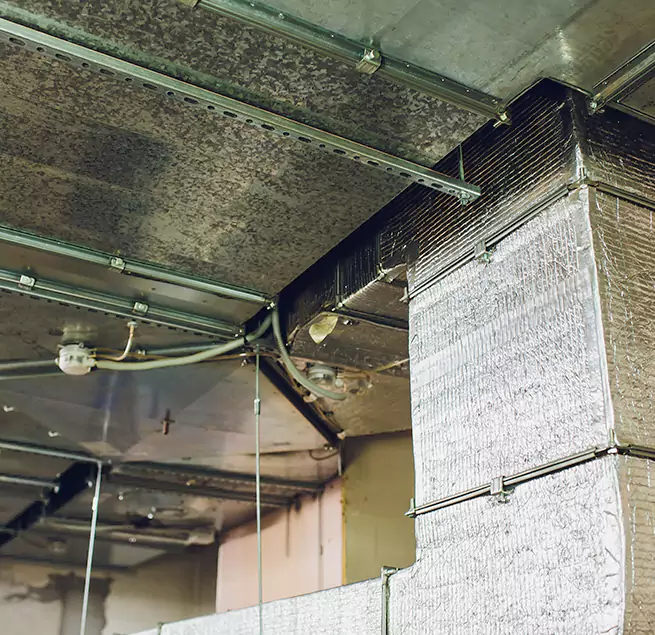 Why Homeowners & Businesses Trust Us in New Rochelle, NY?